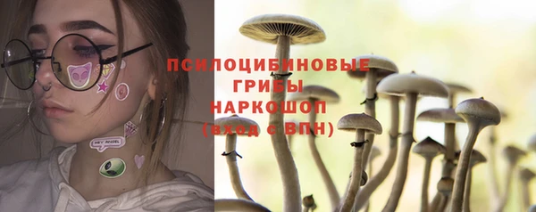 дживик Алексин