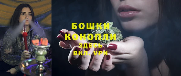 ПСИЛОЦИБИНОВЫЕ ГРИБЫ Алзамай