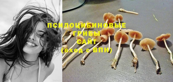 дживик Алексин