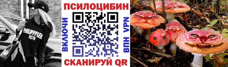 Псилоцибиновые грибы GOLDEN TEACHER  цена наркотик  Сусуман 